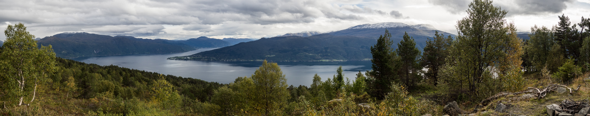 Sognefjord Panorama